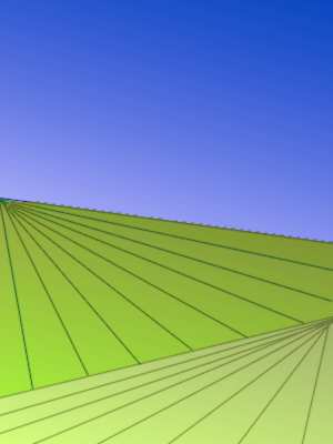 fo.jpg (8016 bytes)